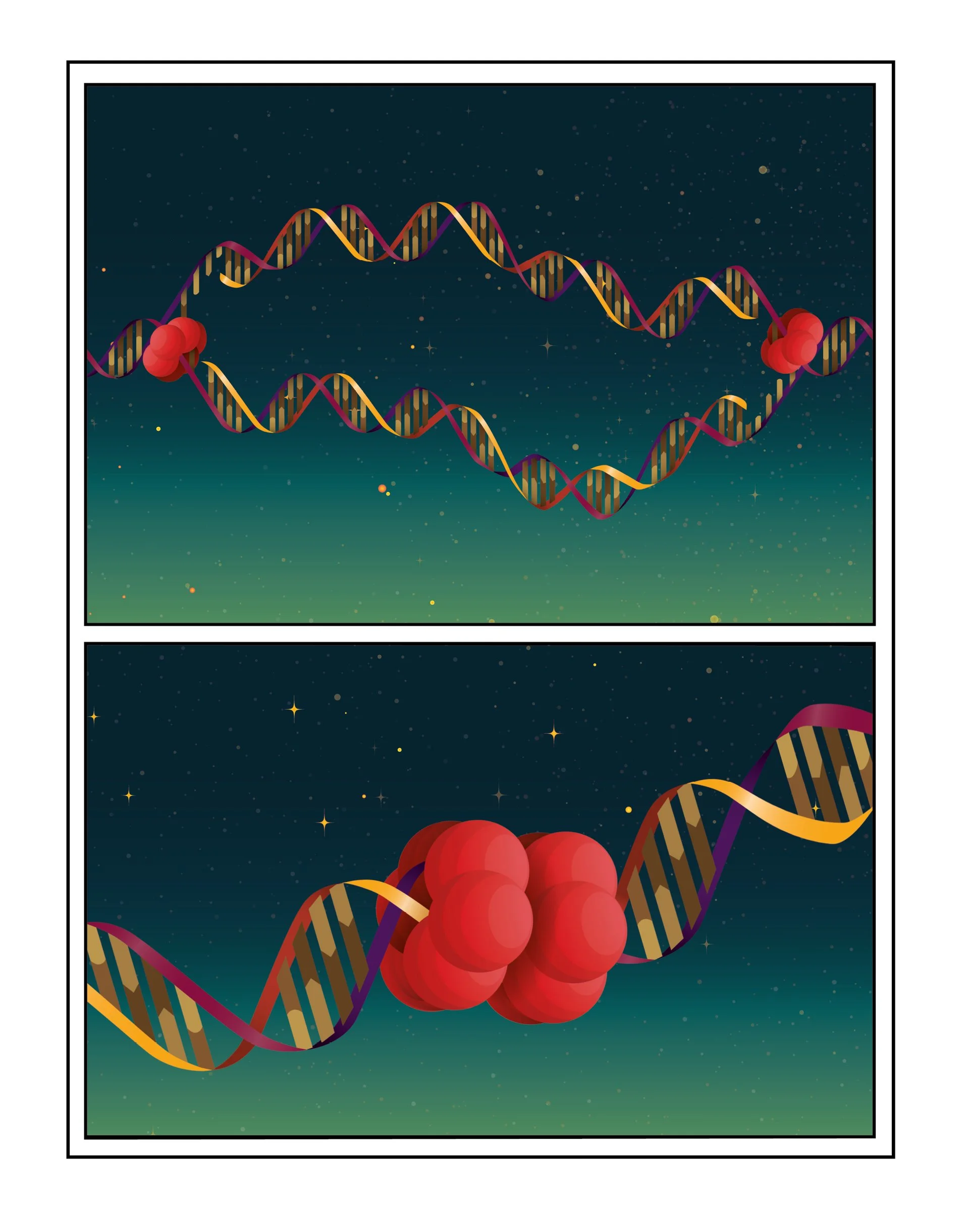 Feature diagram illustration