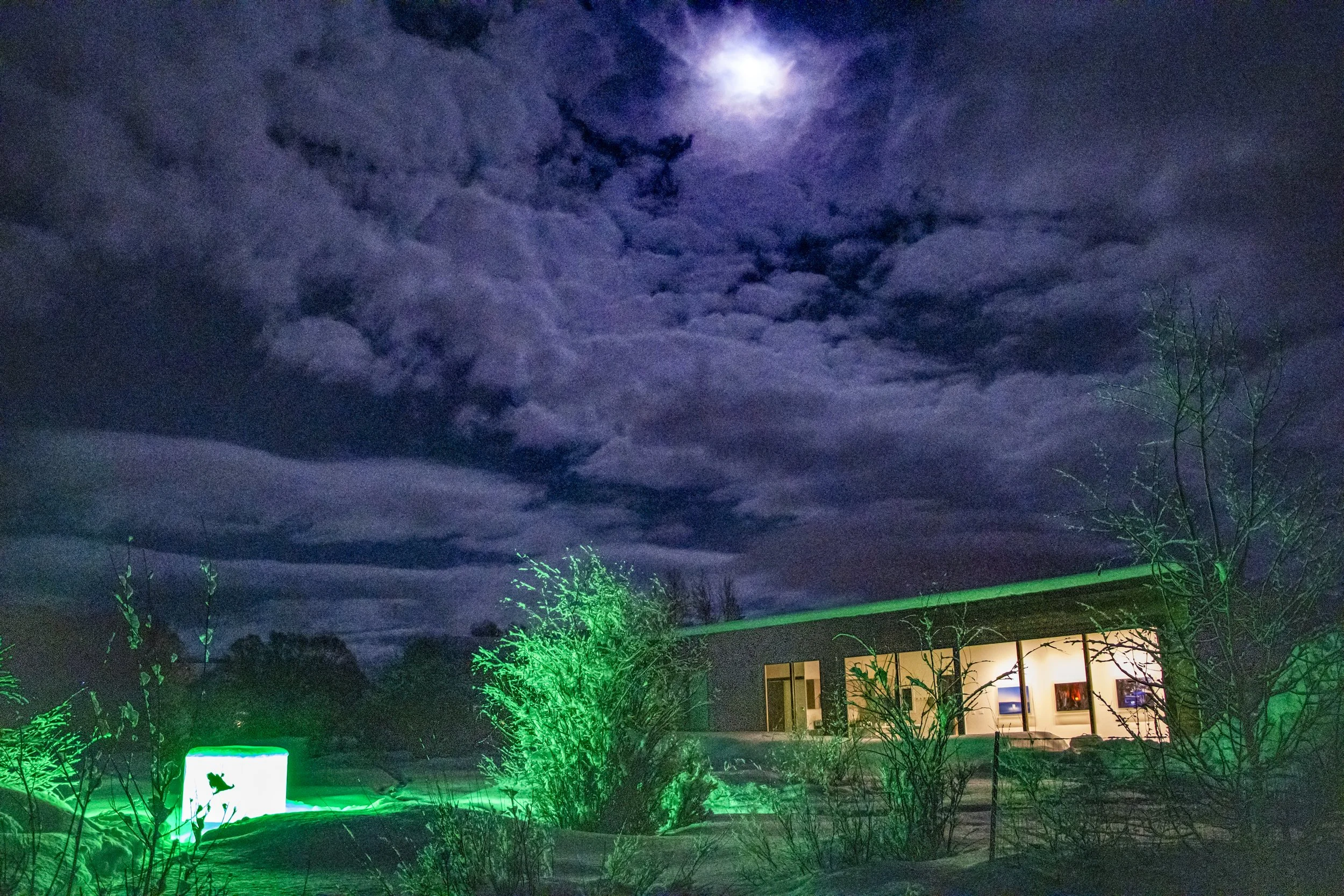 Main Image_Camille Obering Fine Art.jpg