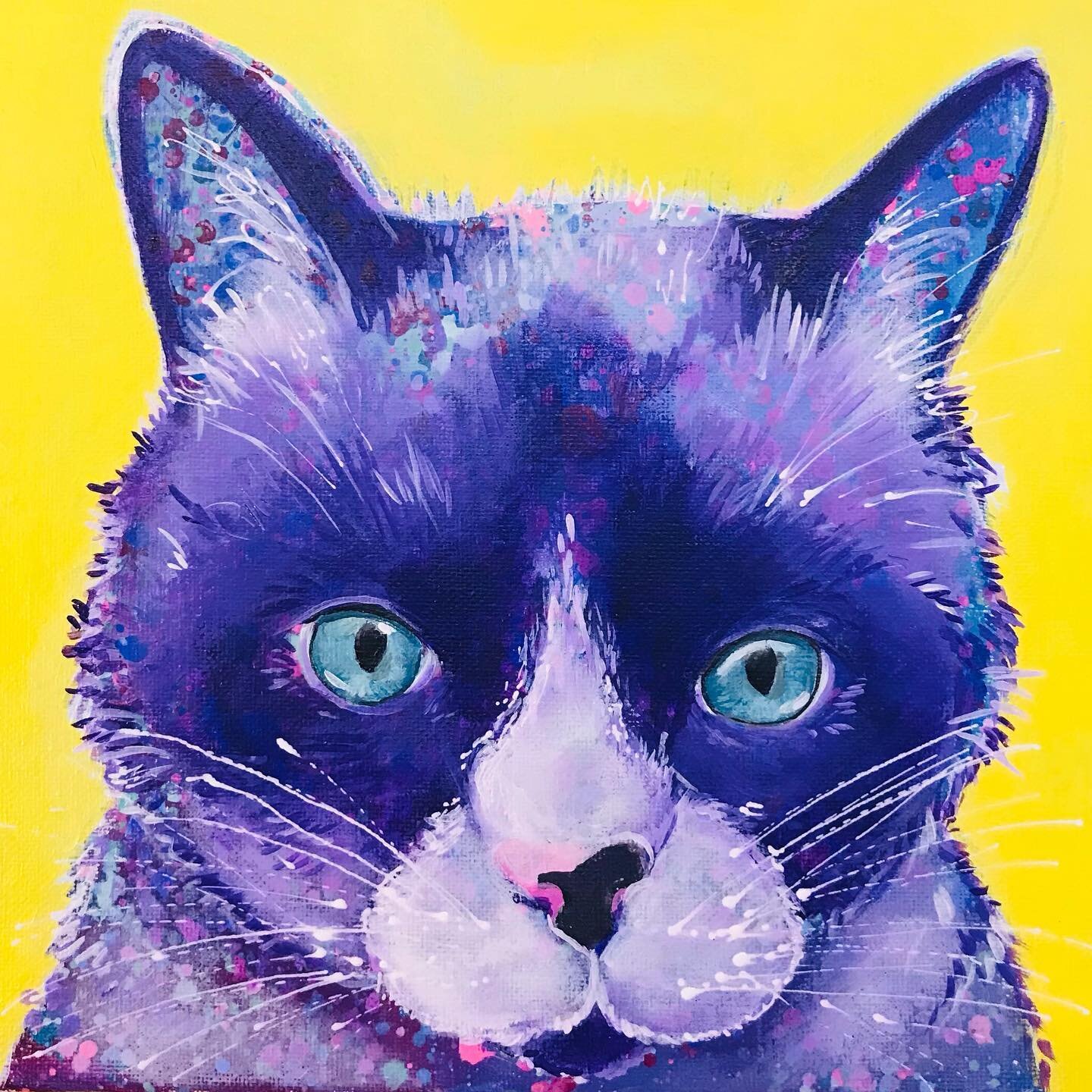 The lovely @sallysullivanstudio let me paint a picture of her beautiful kitty Stella! I think the name suits her ❤️ The eyes were incredibly hard! She has the most beautiful blue eyes 😍 In my opinion when doing pet portraits the most important thing