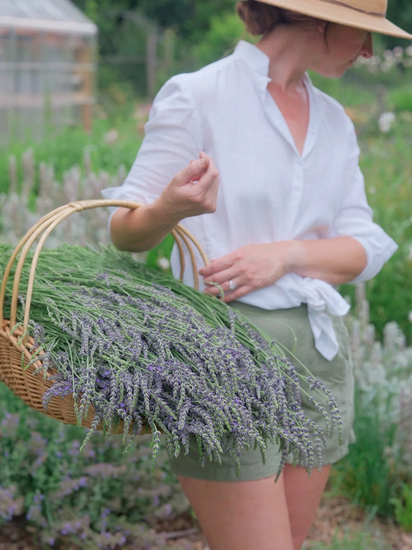 What began as a challenge &mdash; from many failed attempts at starting lavender from seed &amp; growing wrong varieties for our climate &mdash; has become a lesson in patience &amp; perseverance. Through much trial &amp; error, we finally cracked th