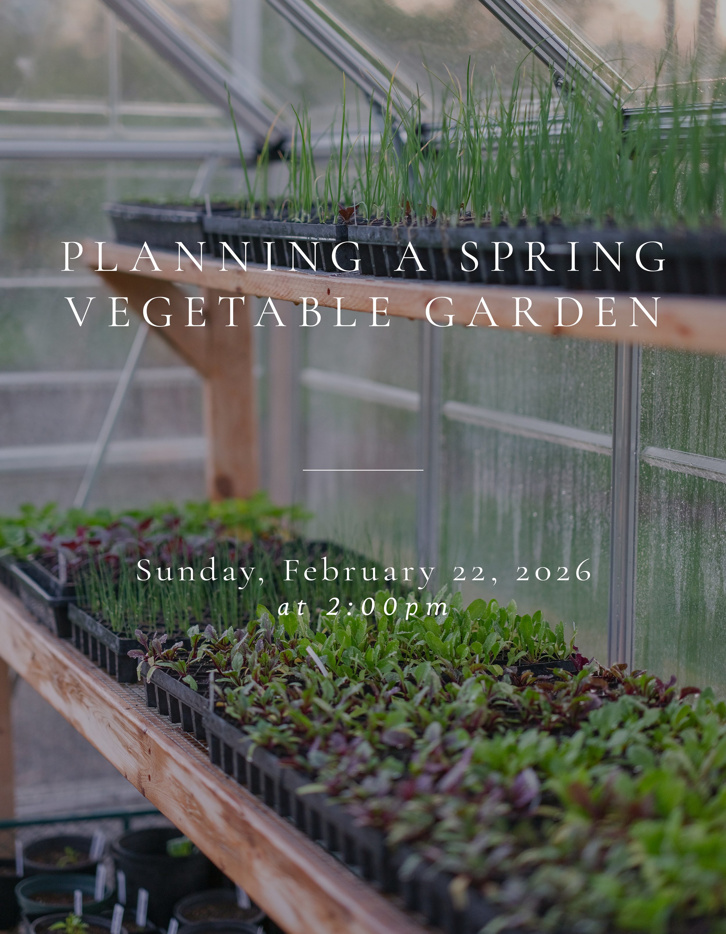 Planning a Spring Vegetable Garden.jpg