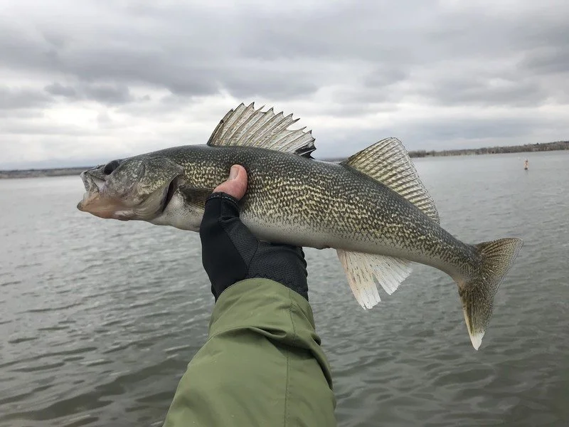 1/2 Day Walleye Fishing for Responders 
