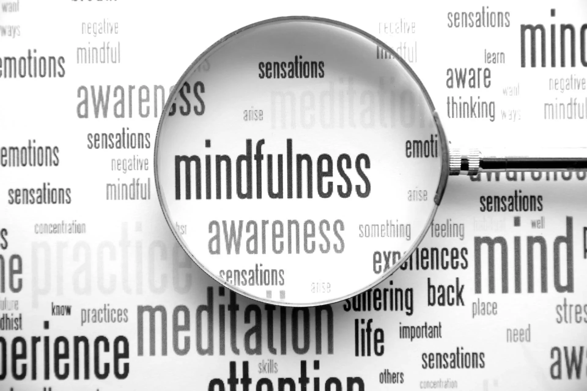 "Clear" — Mindfulness Training for Responders (session 2)