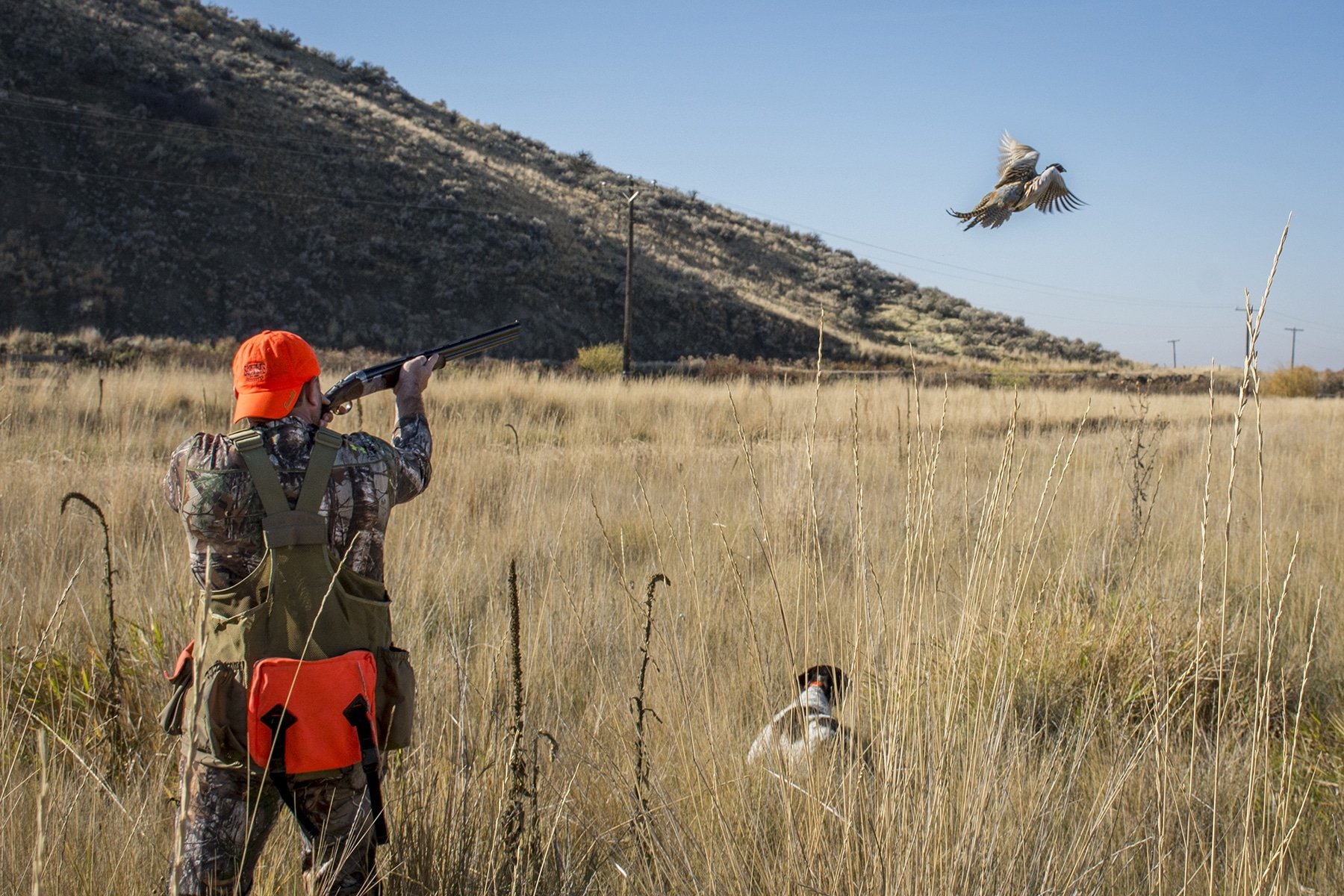 Pheasant Hunting for Responders 10/15