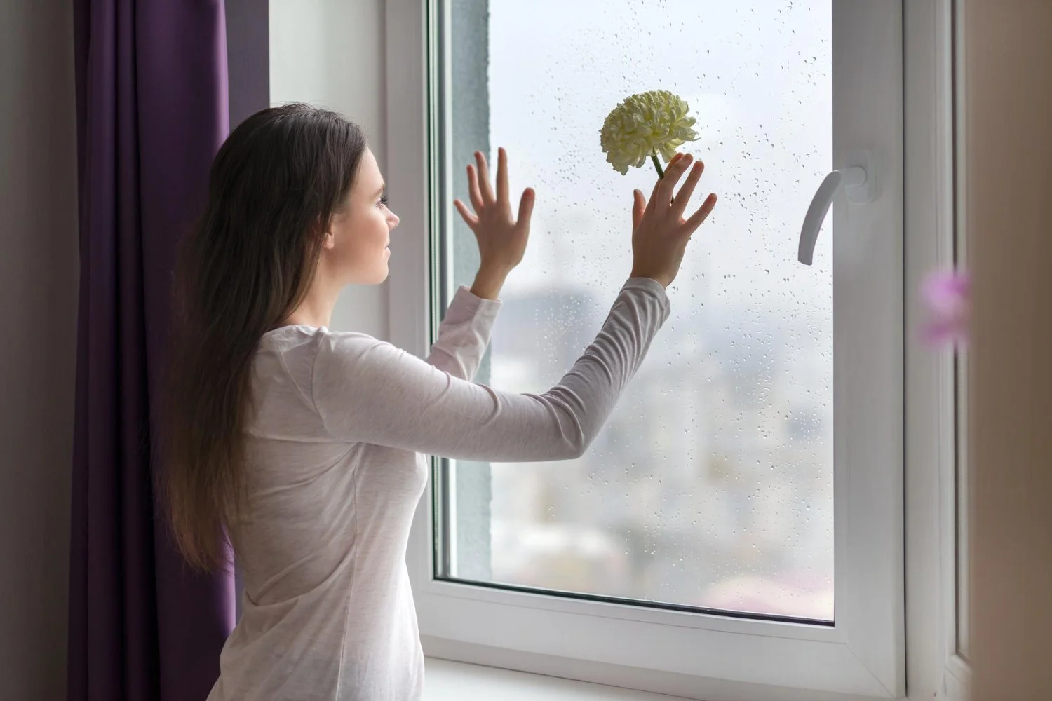 Shine A Light On Savings: Energy Efficient Windows