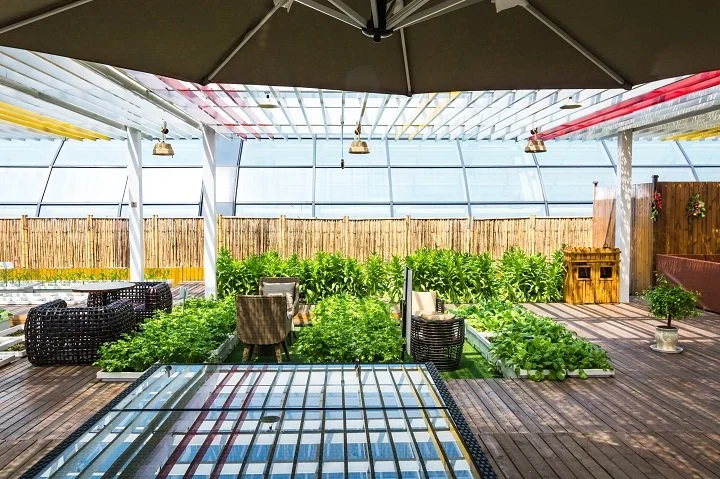 From Sunny Days to Starry Nights: Patios Coloring Your Life