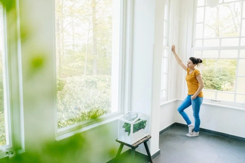 How Can Energy-Efficient Windows Improve Your Home?