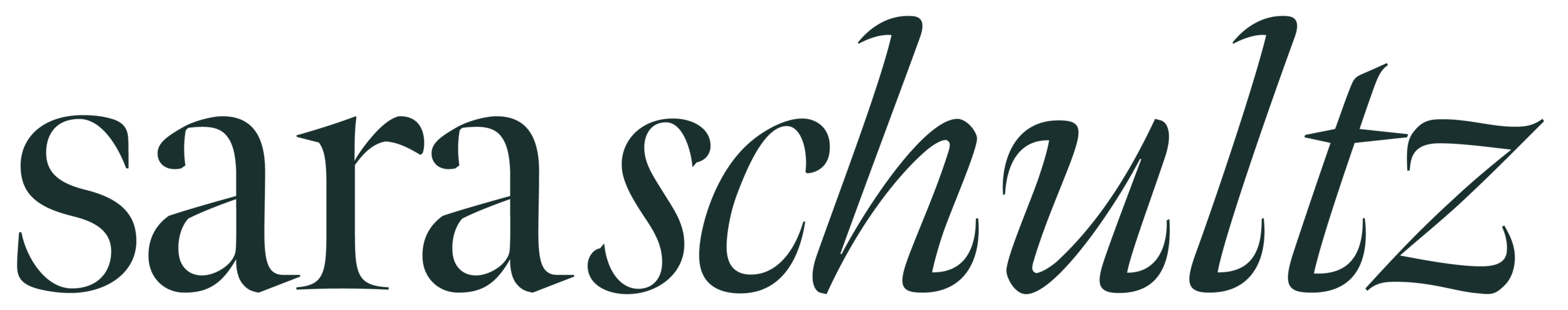 About Sara, Brand Identity Designer for Women — Hey Sara Schultz