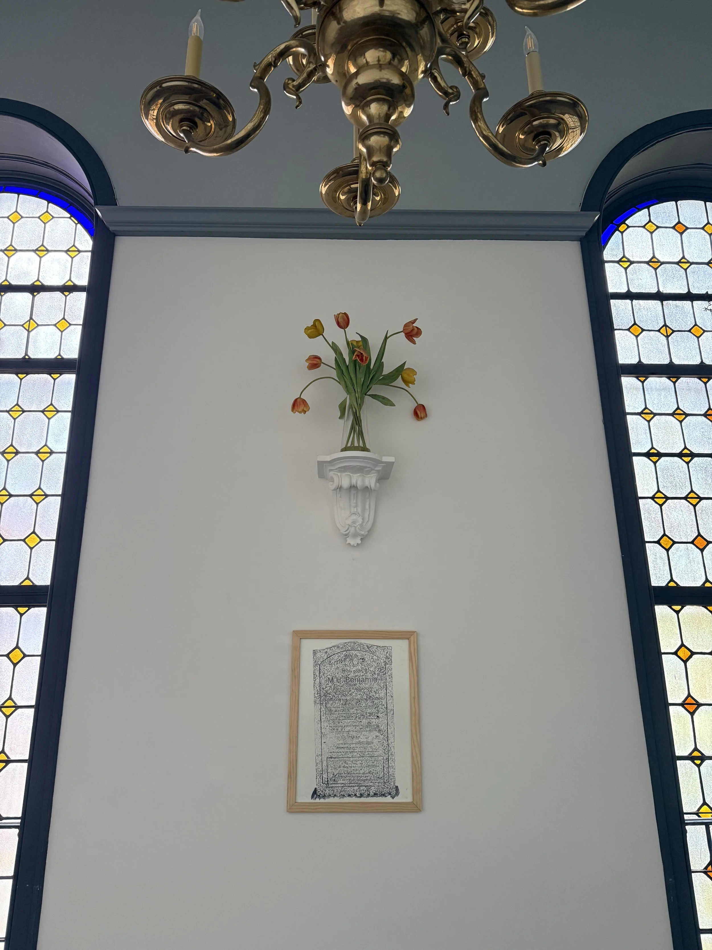 IMG_3971.jpeg