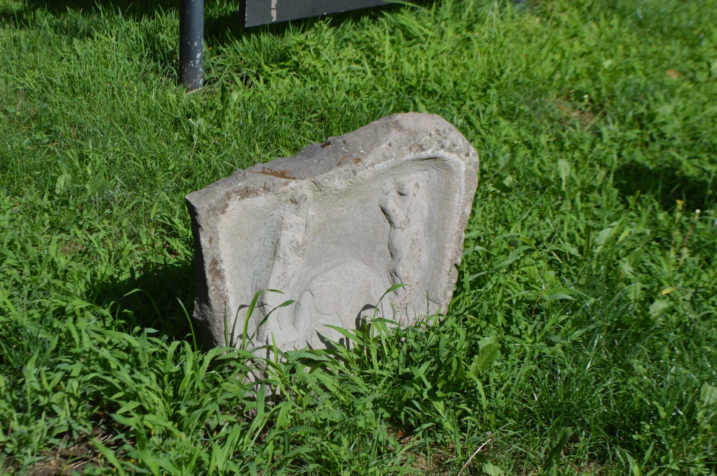 DSC_0173.JPG