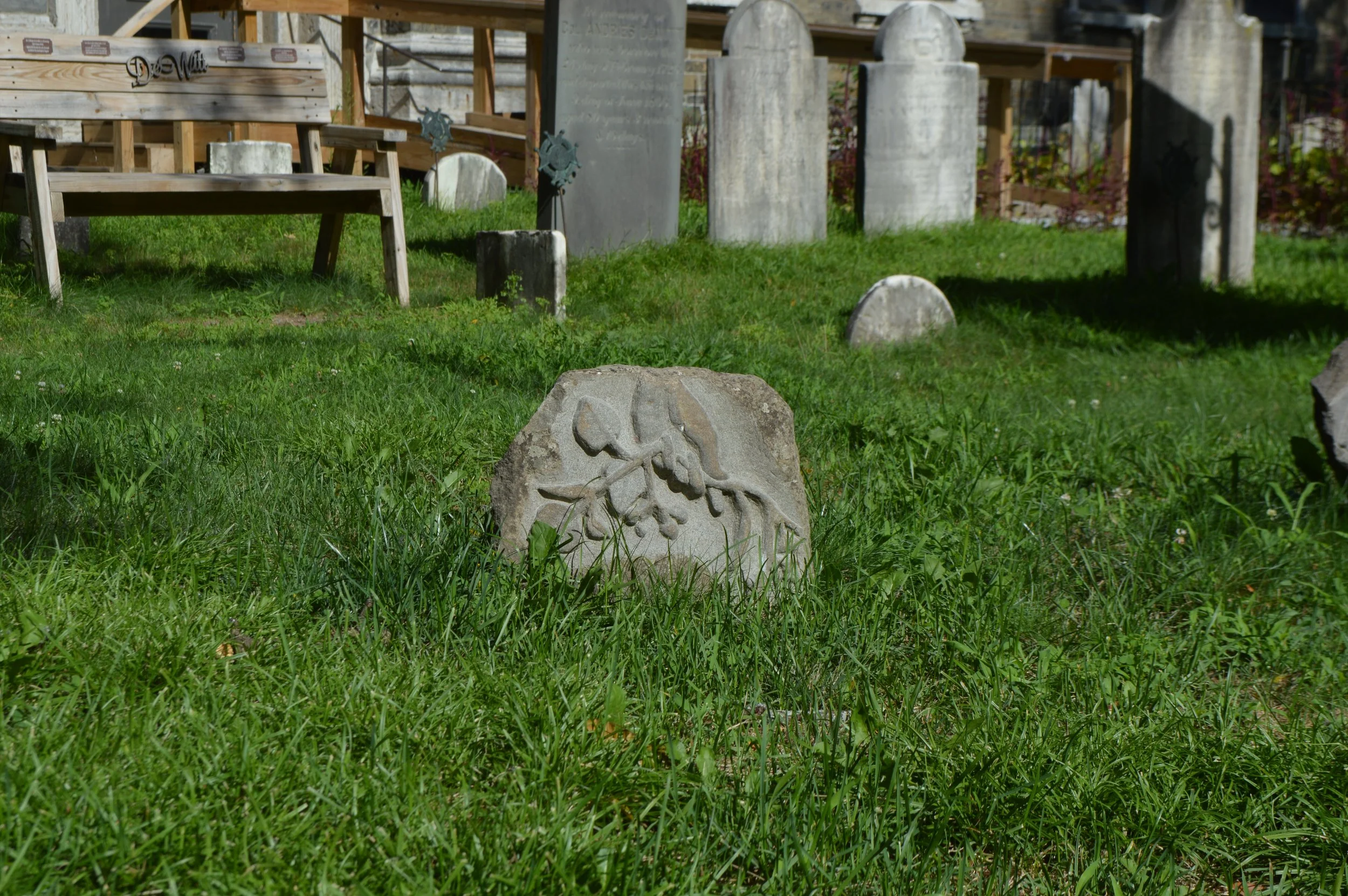 DSC_0165.JPG