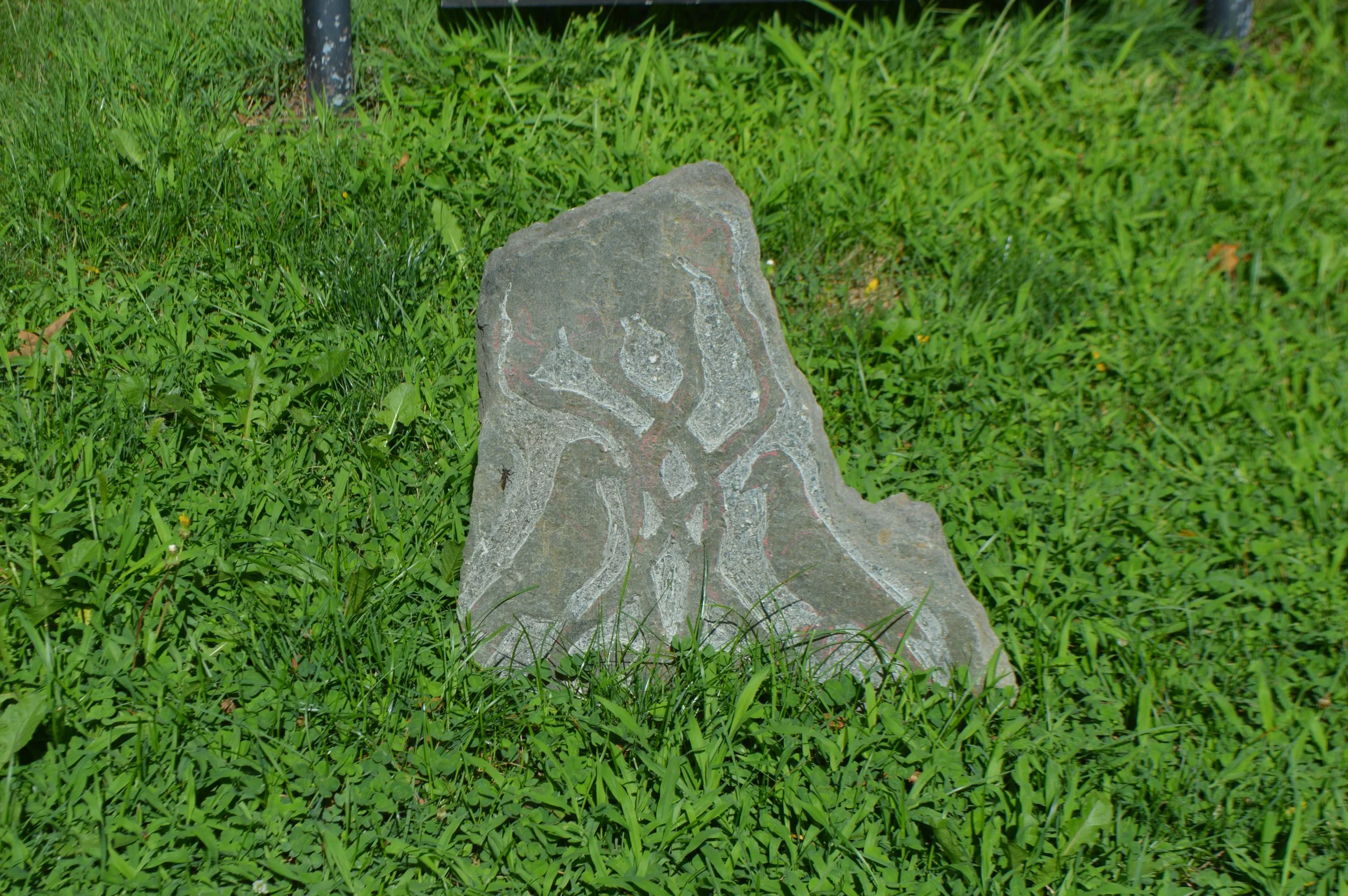 DSC_0157.JPG