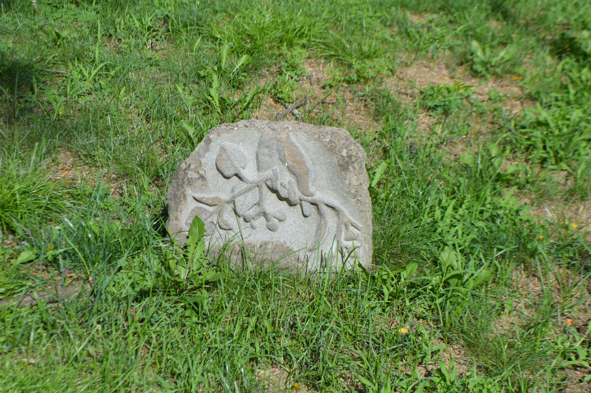 DSC_0145.JPG