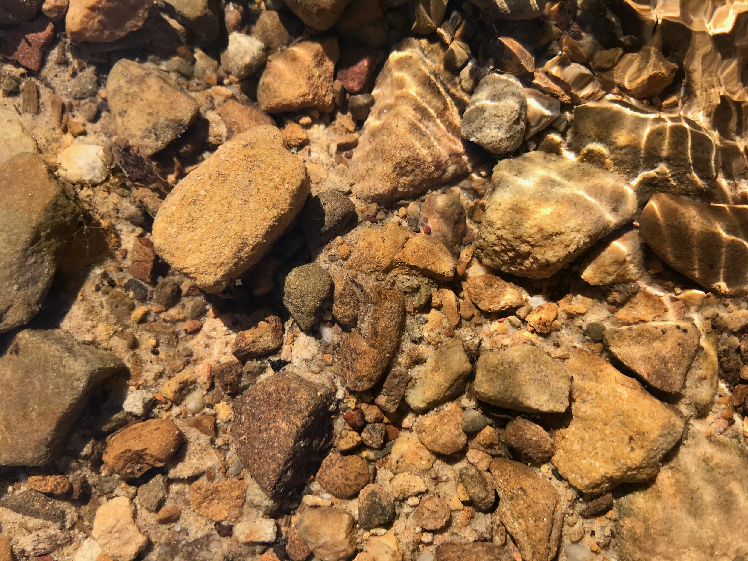 Water, Water, Everywhere