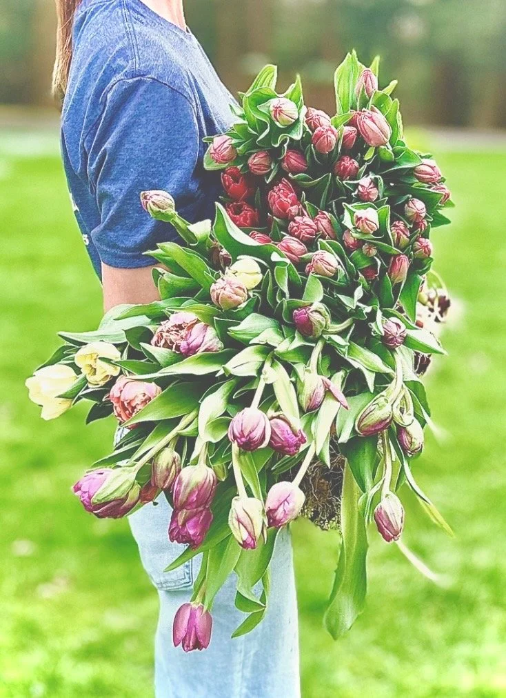 Specialty Tulip Bunch