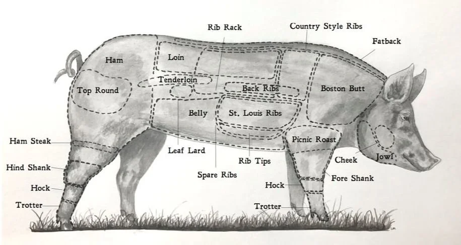 pork cut drawing.jpeg
