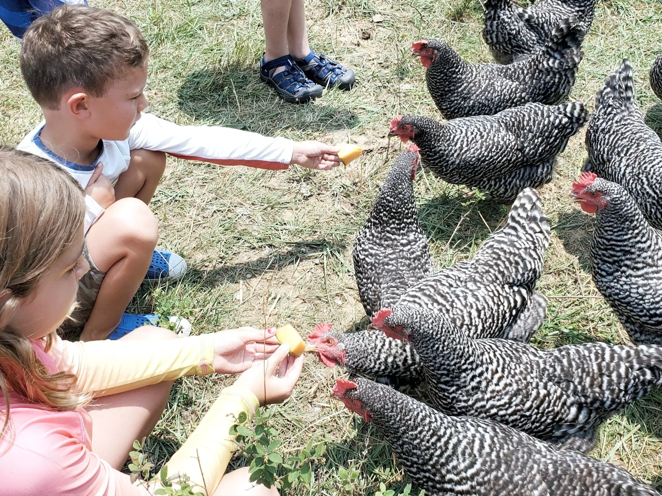 Screen Shot 2023-03-16 at 4.32.18 PM.jpg