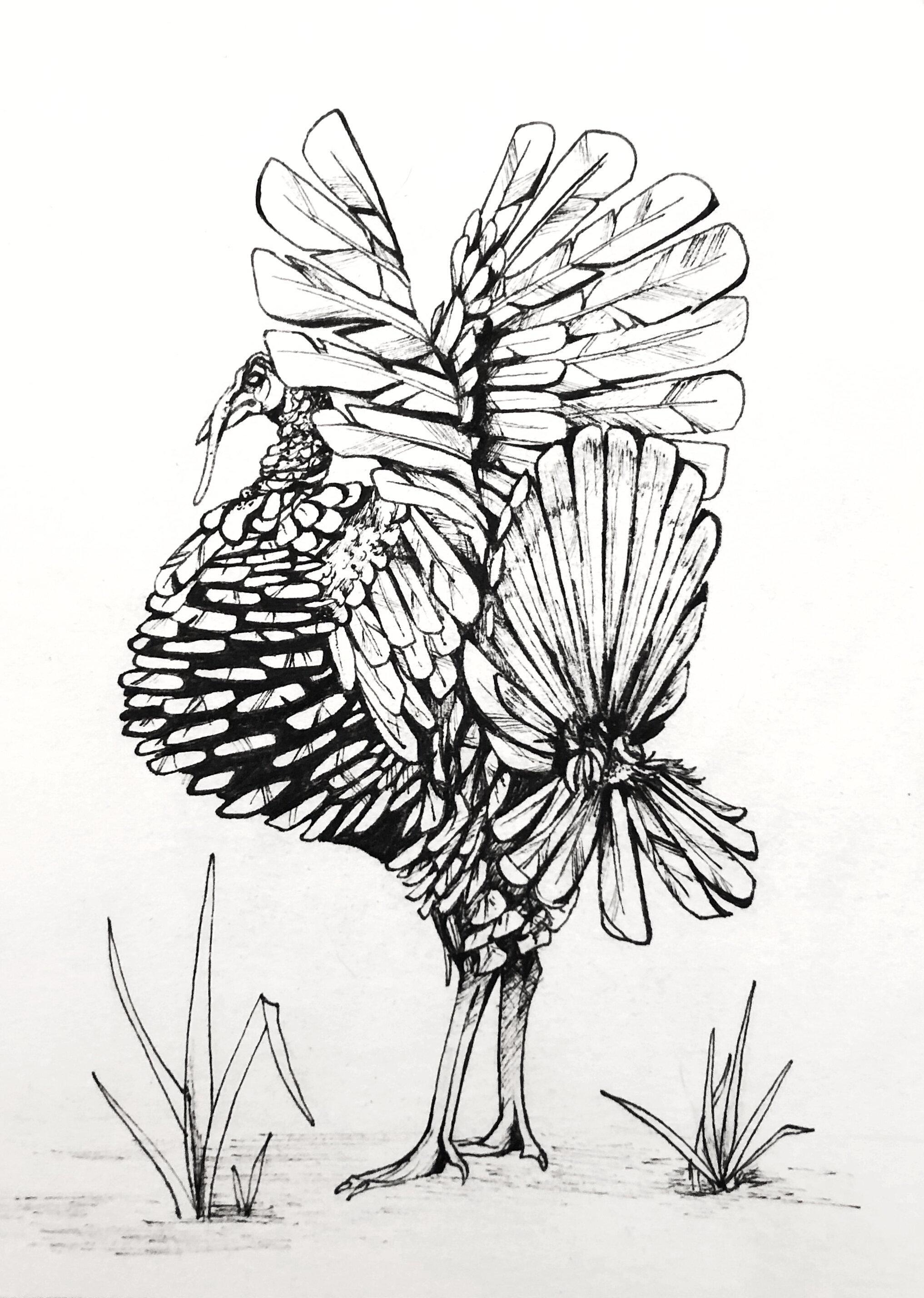 "Turkey Gift" 2020, ink pen on watercolor paper