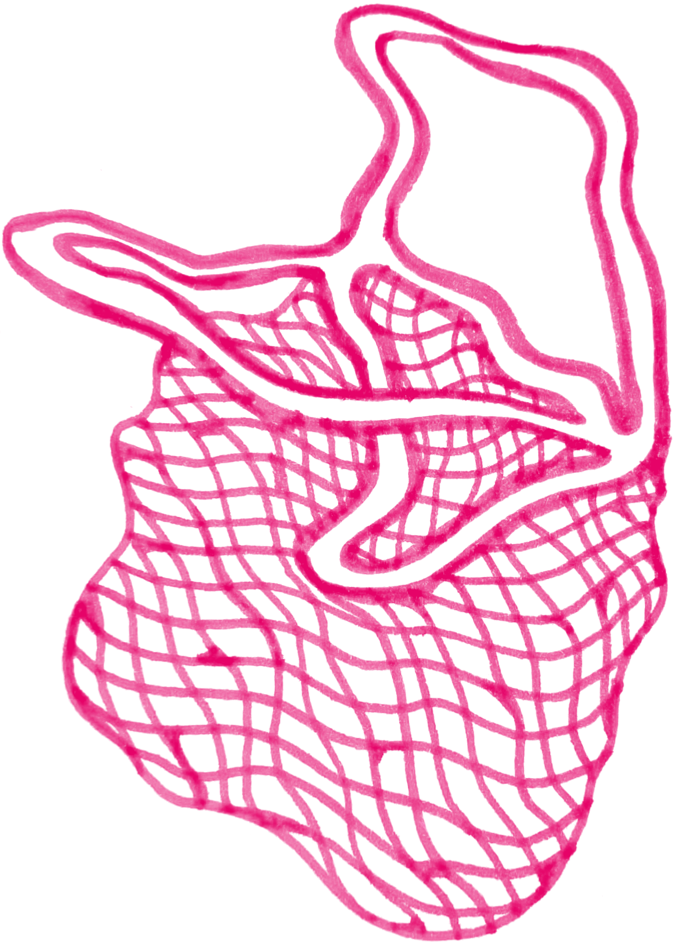 "Fishnet Bag Icon" 2023, ink and photoshop