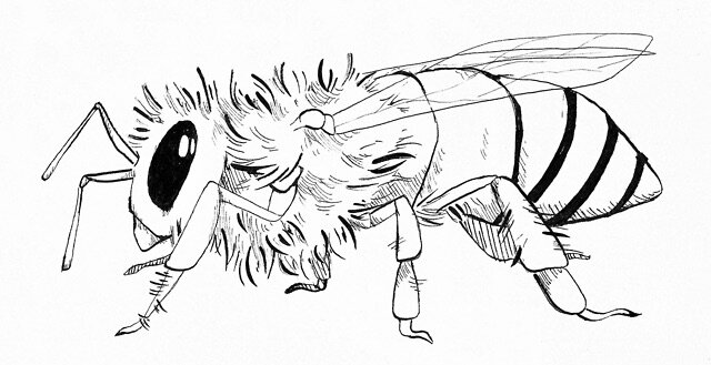 "Bee" 2019, india ink on watercolor paper