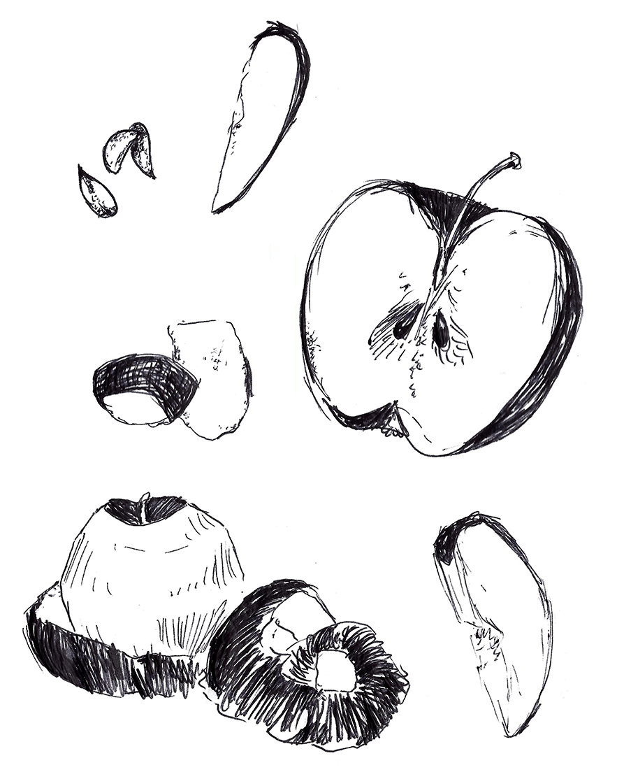 "Apple of my Eye" 2018, pen on printer paper