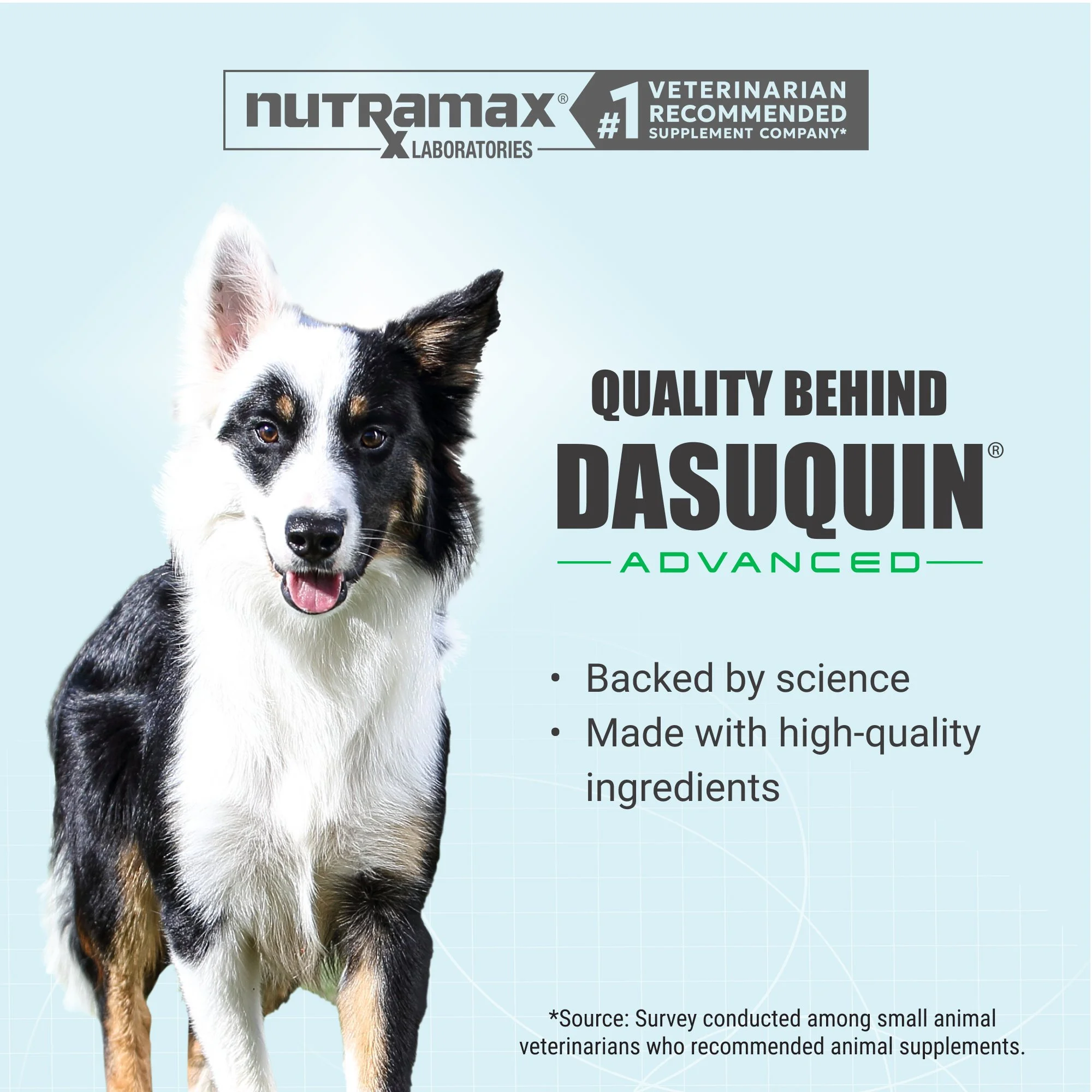 Ask us how Dasuquin&reg; Advanced can support your pets' joint health today. #DasuquinAdvanced #Nutramax