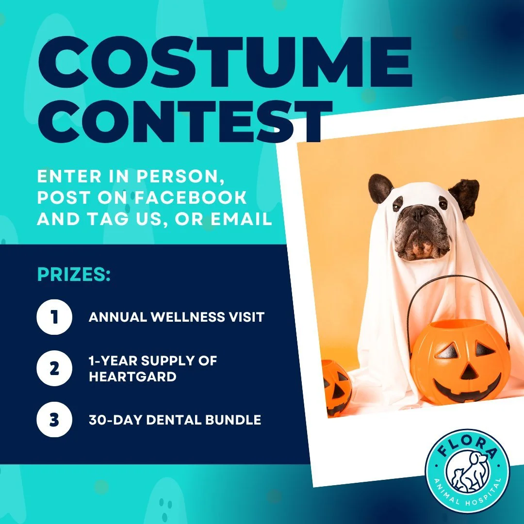 🎃🐾 Pet Costume Contest! 🐾🎃

Show off your furry friend&rsquo;s Halloween spirit and enter our costume contest! You can participate in person, on Facebook by tagging us in your post, or by email at floraanimalhospital@gmail.com. Stop by with your 