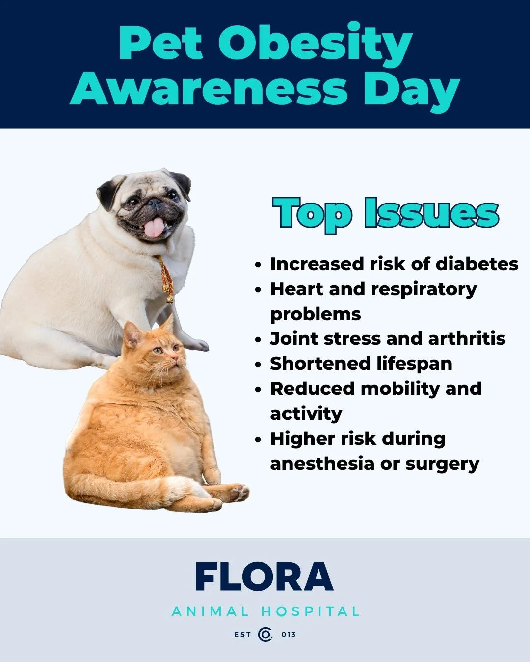Today is Pet Obesity Awareness Day! Maintaining a healthy weight is one of the easiest ways to help your pet live a longer, happier life. Regular check-ups, portion control, and daily exercise can make a huge difference.

If you're concerned about yo