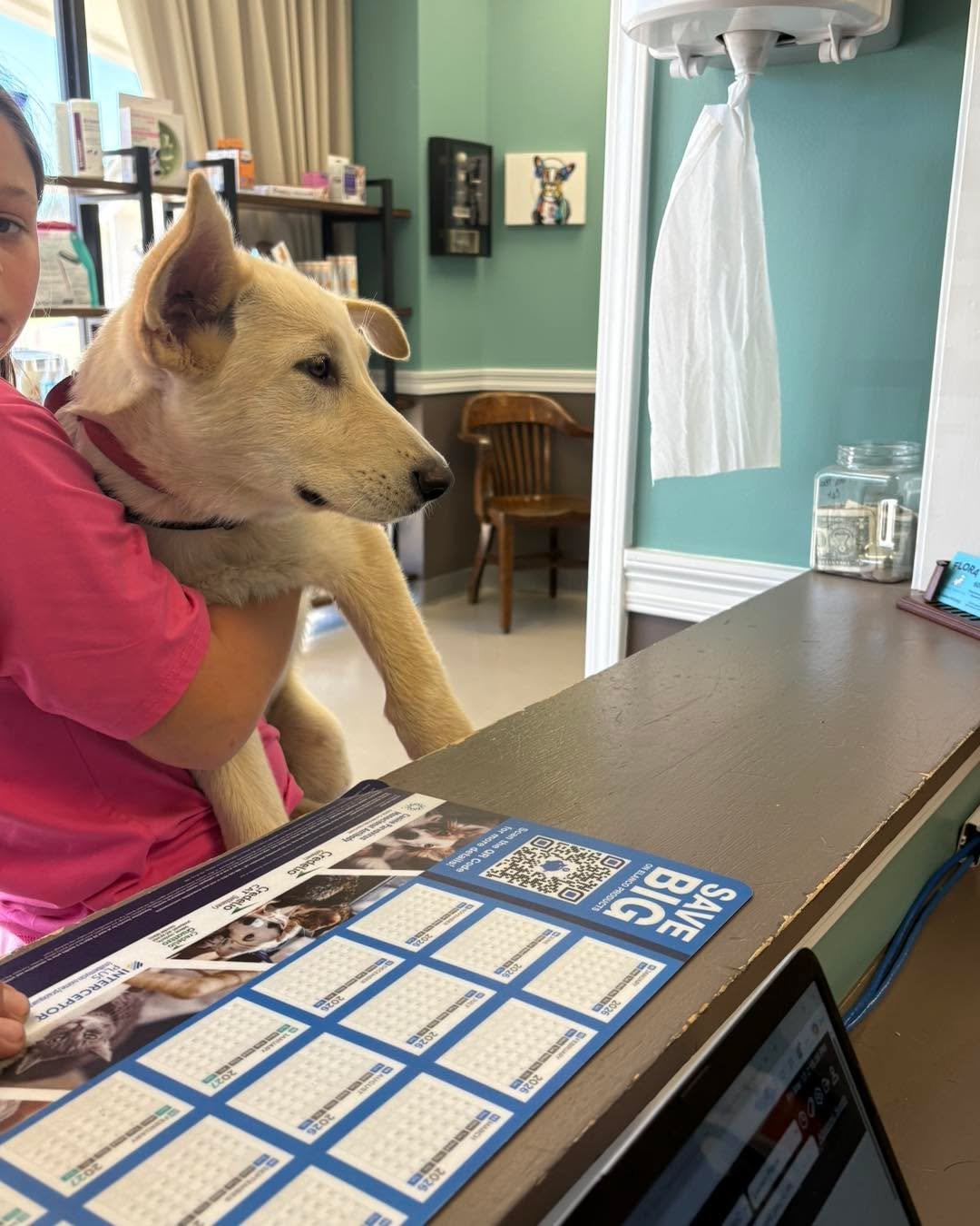 A white dog was found at the Flora Fire Department and brought to Flora Animal Hospital. We want to get this pup home!

It is safe and in good hands with the family that brought her in. This dog&rsquo;s family is probably looking for them right now.
