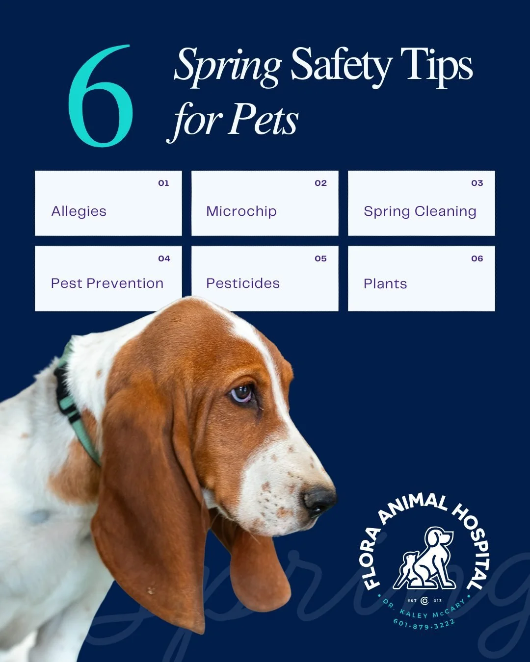 Springtime means longer walks, blooming flowers, and fresh air, but it also comes with a few hidden dangers for our furry friends. Here are some important seasonal safety tips every pet owner should know:

🐾 Allergies aren&rsquo;t just for humans! I