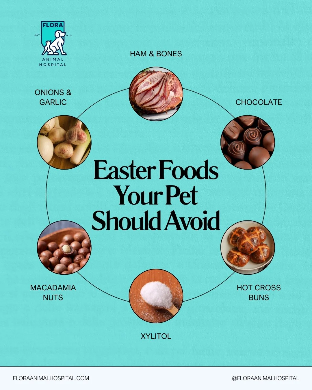 With Easter just around the corner, let's remember that this time is all about celebrating with family, including our furry ones. But while you&rsquo;re enjoying your holiday treats, keep in mind that some of our favorite Easter foods can be a no-go 
