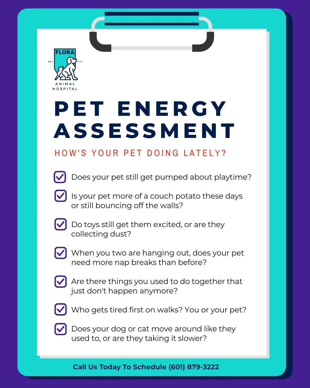 Let's put the spring back in your pet's step!