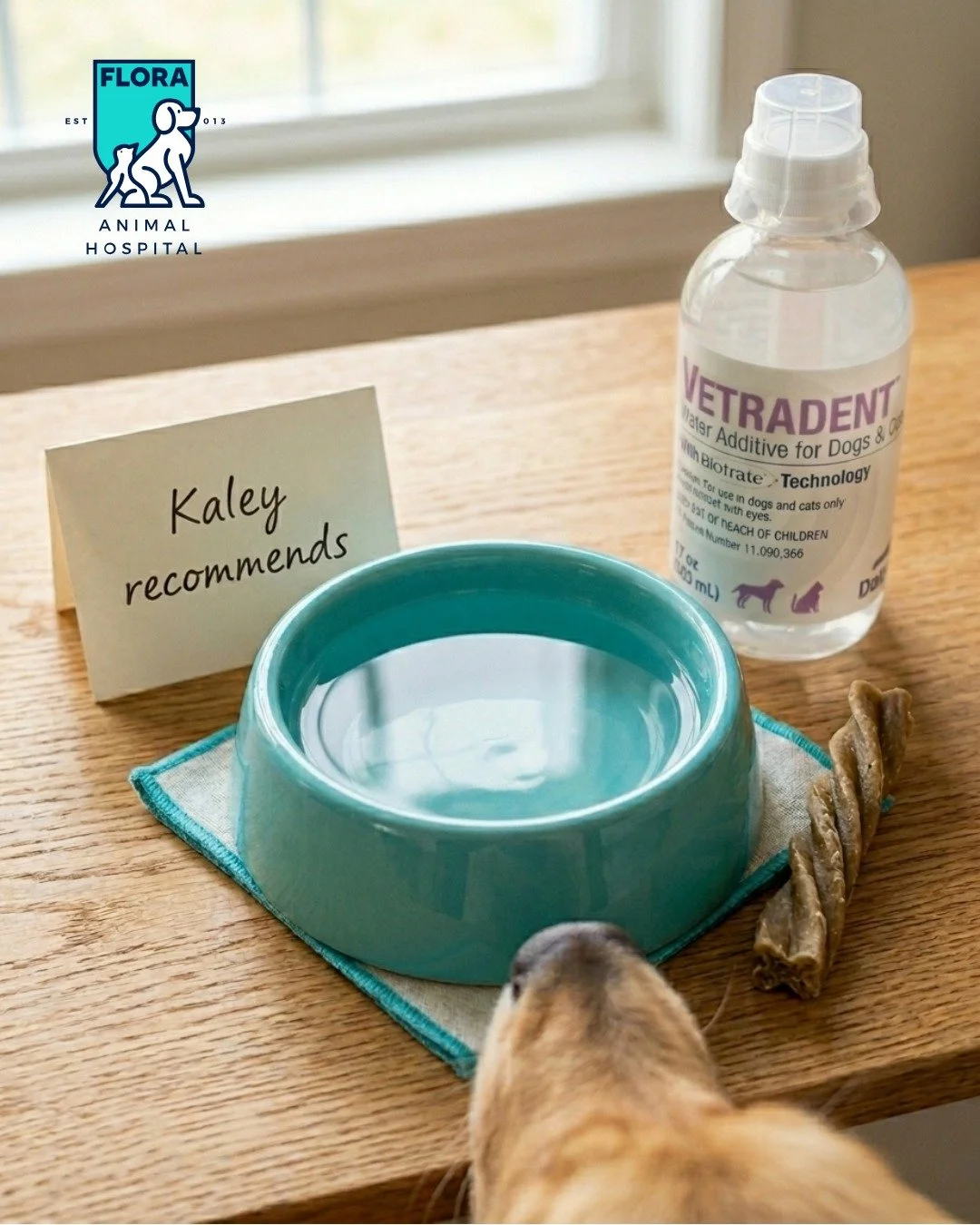 Not every dental product at the pet store is worth your money. A few of them are not worth your dog's health either.

We're breaking down exactly which at-home dental options we actually recommend, what the difference is between them, and which ones 