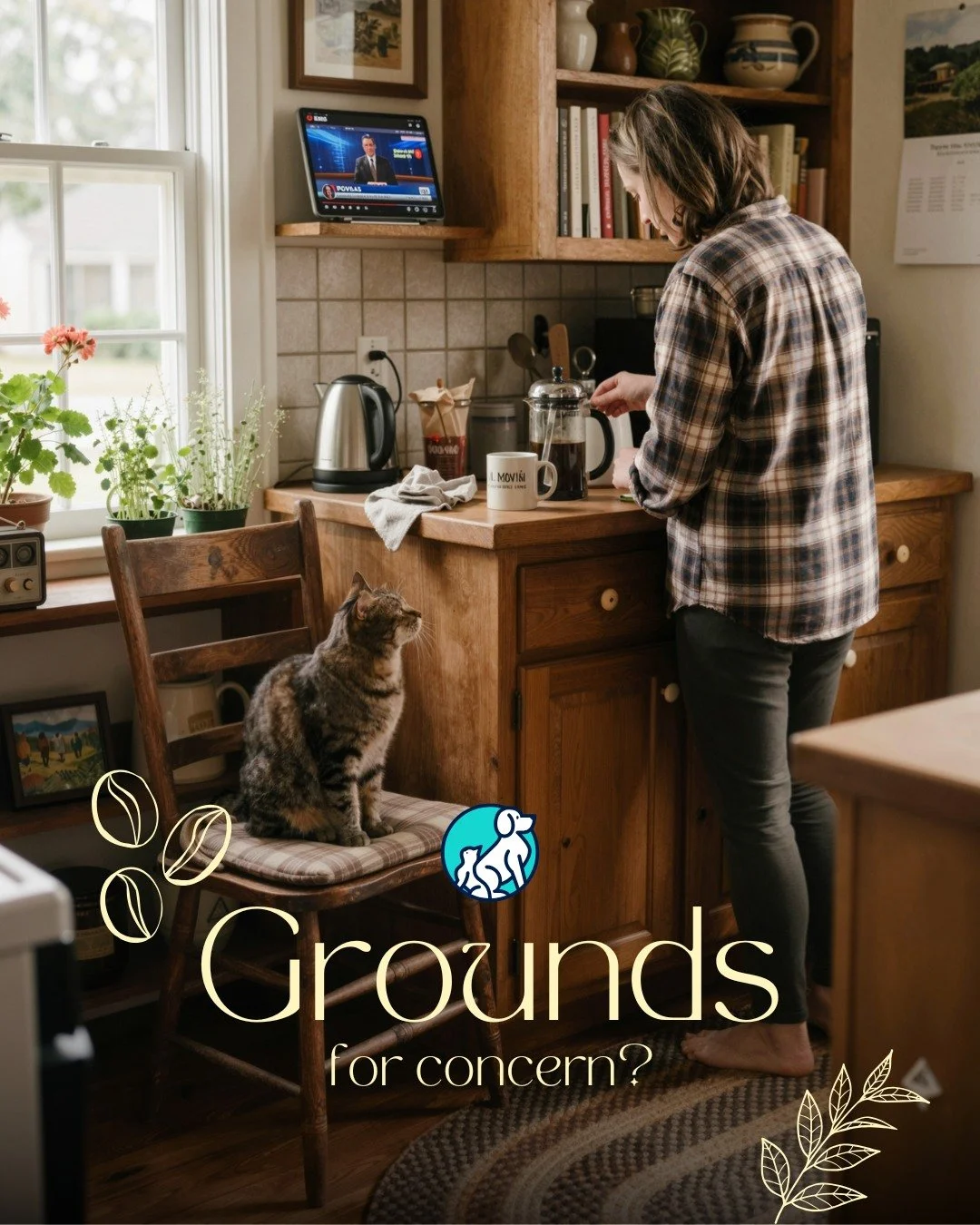 Y'all, I saw this article going around and I need to address it.

The claim is that caffeine from your coffee steam is settling into your cat's fur and poisoning them when they groom. I promise you, this is not a thing.

Caffeine boils at 351 degrees