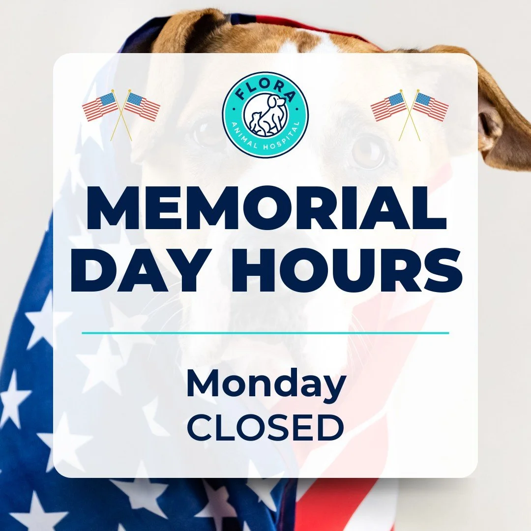 🇺🇸 Memorial Day Reminder 🇺🇸

Our office will be closed Monday in honor of Memorial Day as we pause to remember and give thanks.

Also, friendly PSA: hot dogs are for humans only! Keep those pup tummies safe this weekend and save them a dog-friend