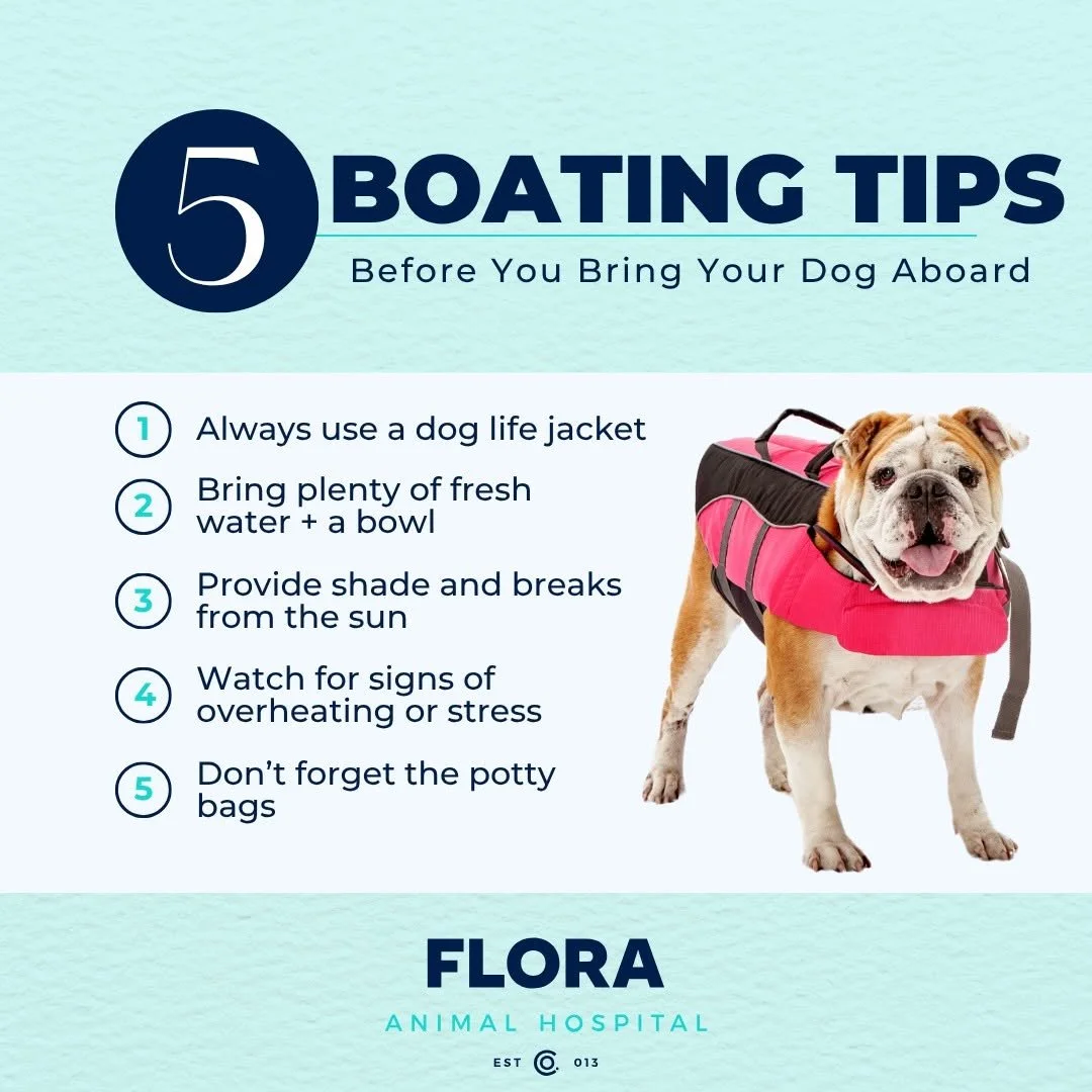 Headed to the lake for the 4th with your furry co-captain? 🚤  Before you set sail, make sure your pup is prepped for a safe and fun day on the water! From life jackets to sun breaks, we&rsquo;ve put together 5 easy tips to help you and your dog crui