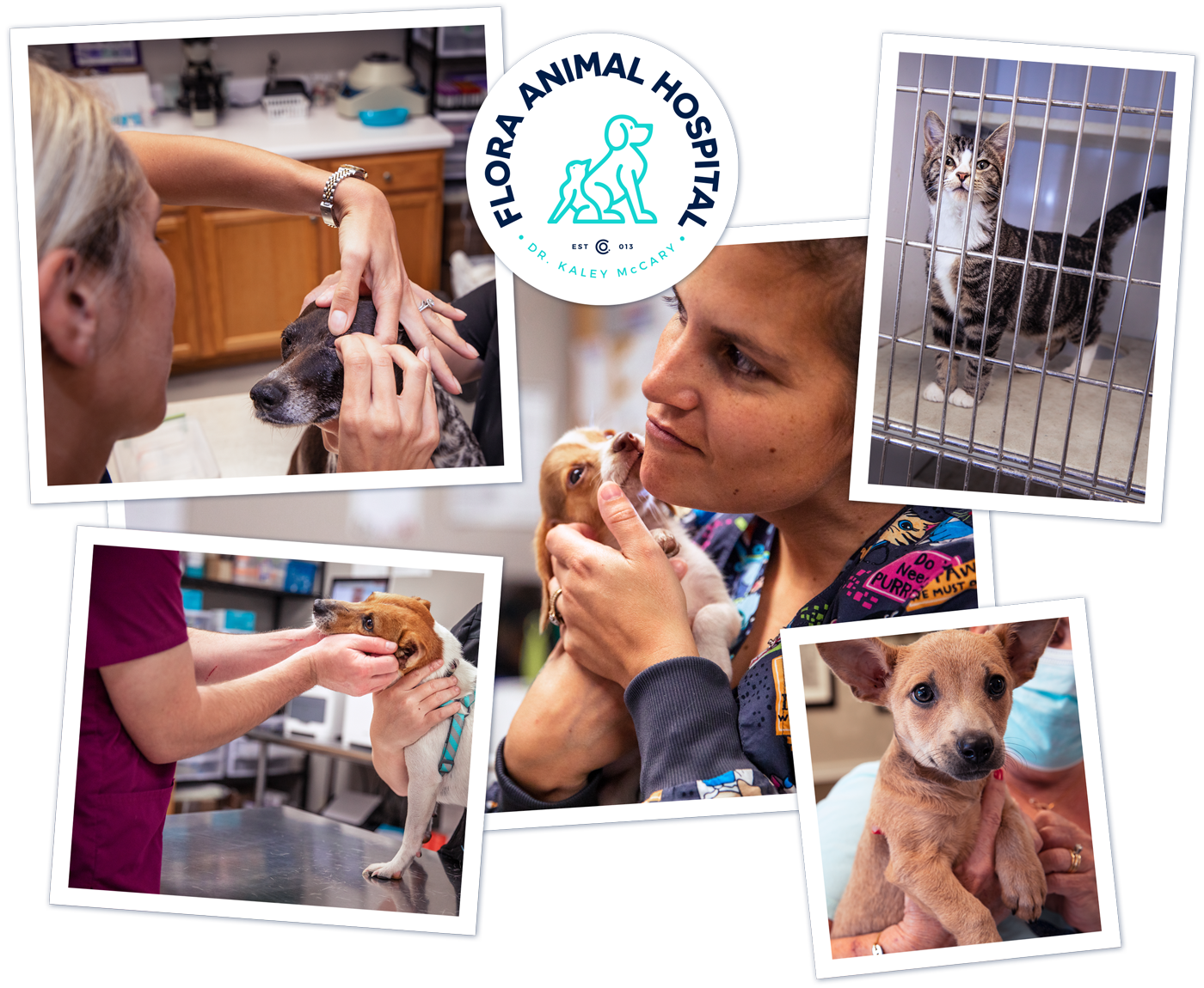 Flora Animal Hospital