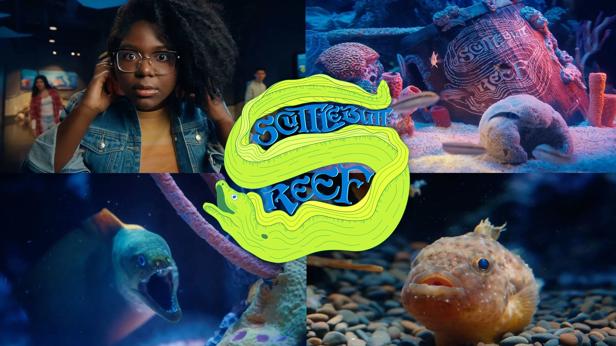 Tennessee Aquarium Scuttlebutt Reef