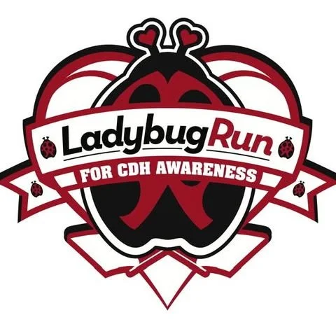 Ladybug Run for CDH Awareness