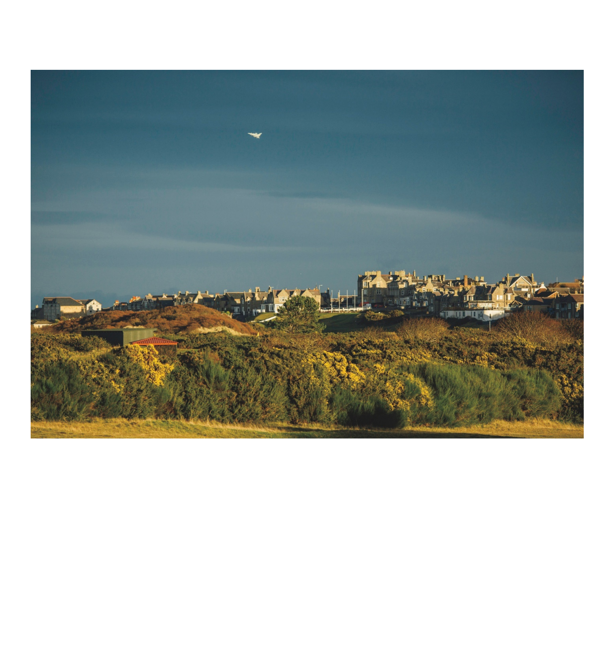 Screen Shot 2026-03-18 at 17.02.19.png