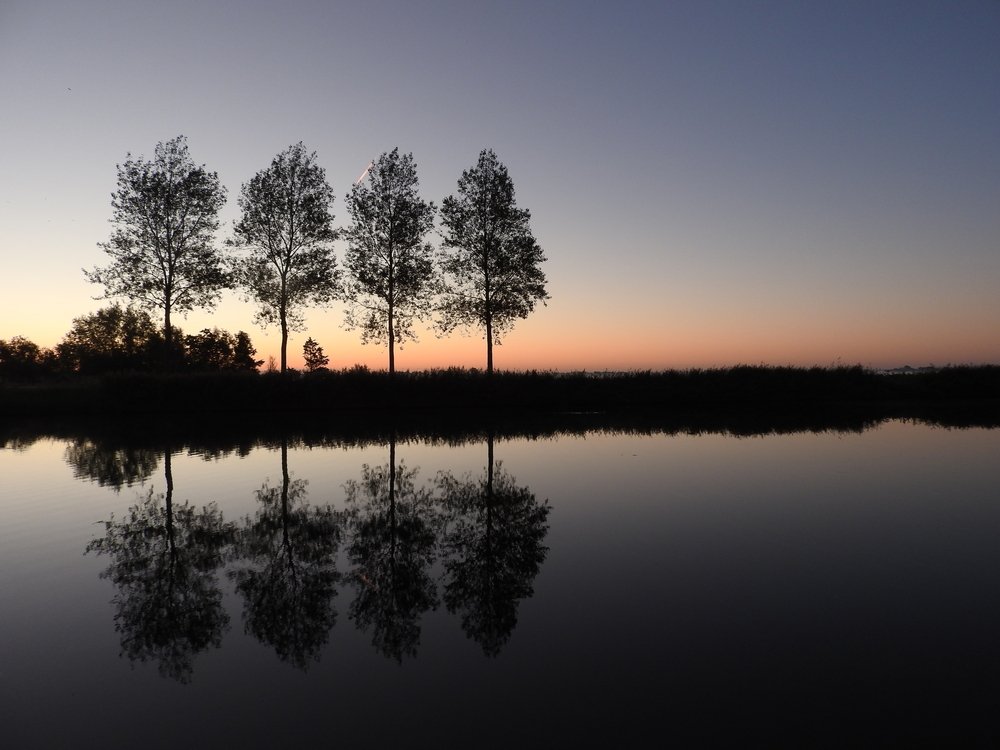Shifting from Surviving to Thriving at the Summer Solstice