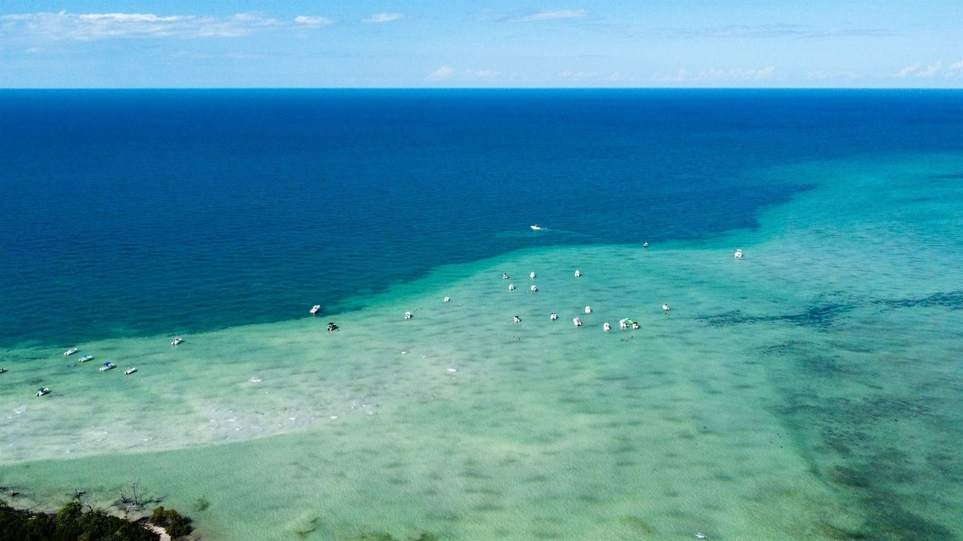 sandbar and eco tour key west