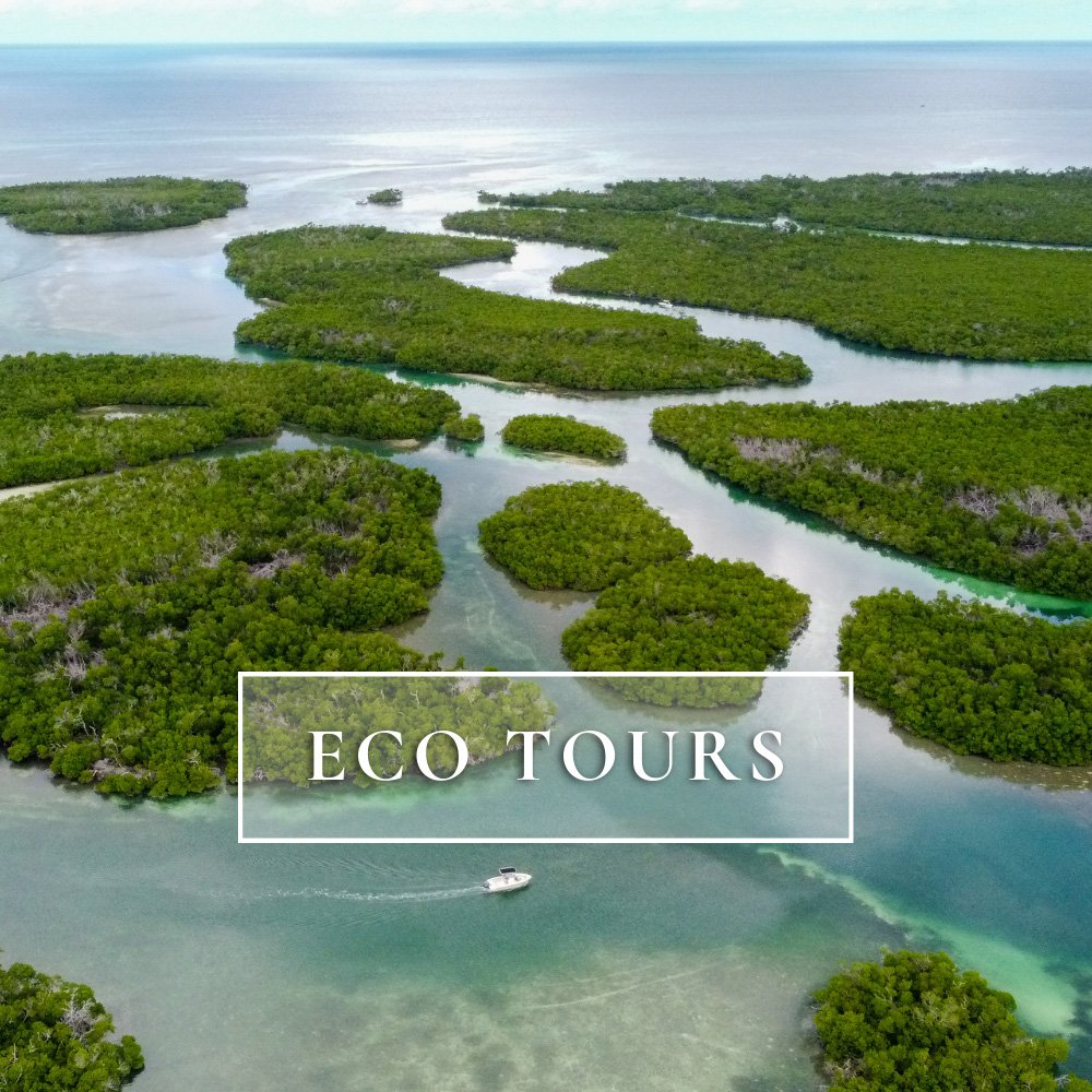 Salty Soul Charters navigating through mangrove channels during an Eco Tour in Key West, Florida. Text graphic on picture reads "Eco Tours."