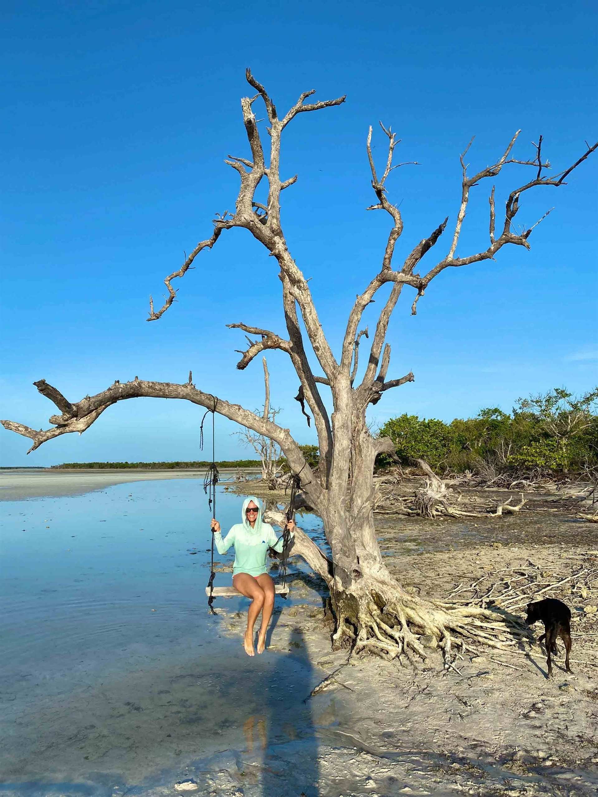 sandbar and eco tour key west