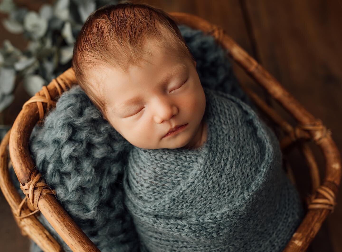 Newborn Photographer Mentor Sessions: August - January 2023 mentor sessions will soon be found online! Just starting out or maybe you&rsquo;ve been in the photography business for years but need to brush up your skills? Want to build up your newborn 