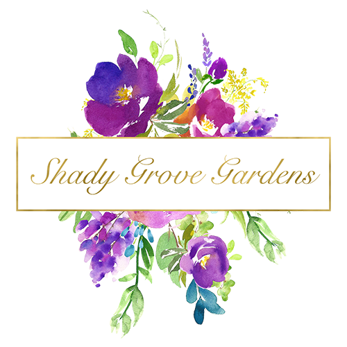 Shady Grove Gardens