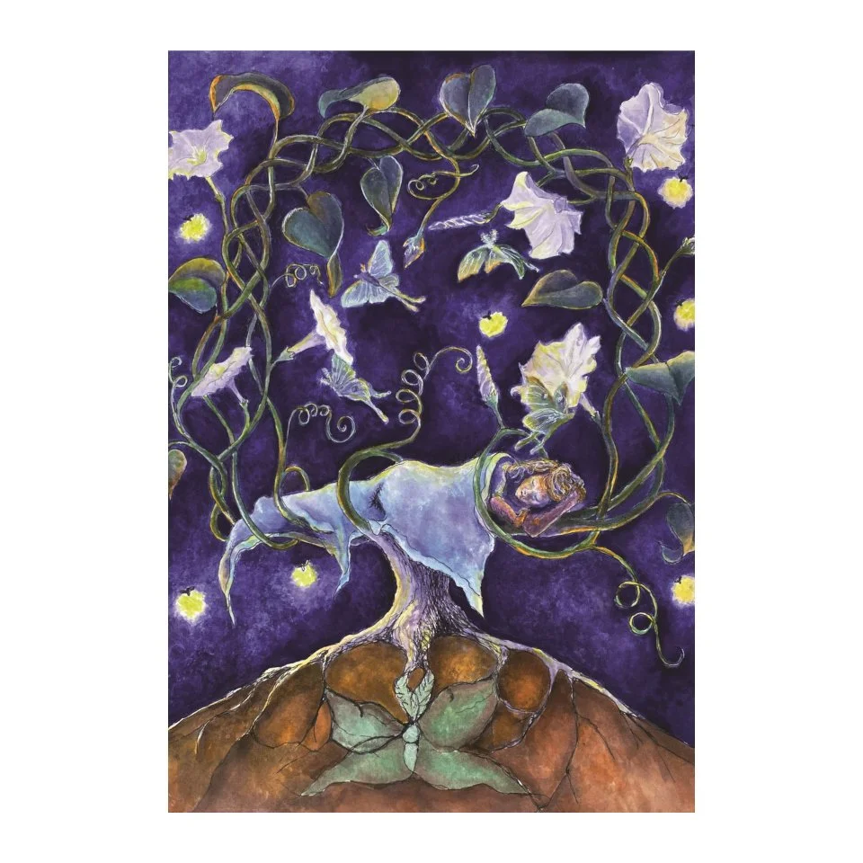 moonflower front  - V-5x7.jpg