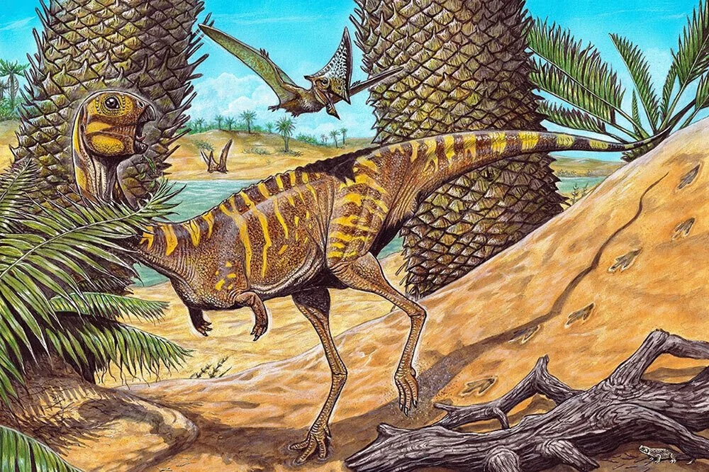 News - Dinos.jpeg