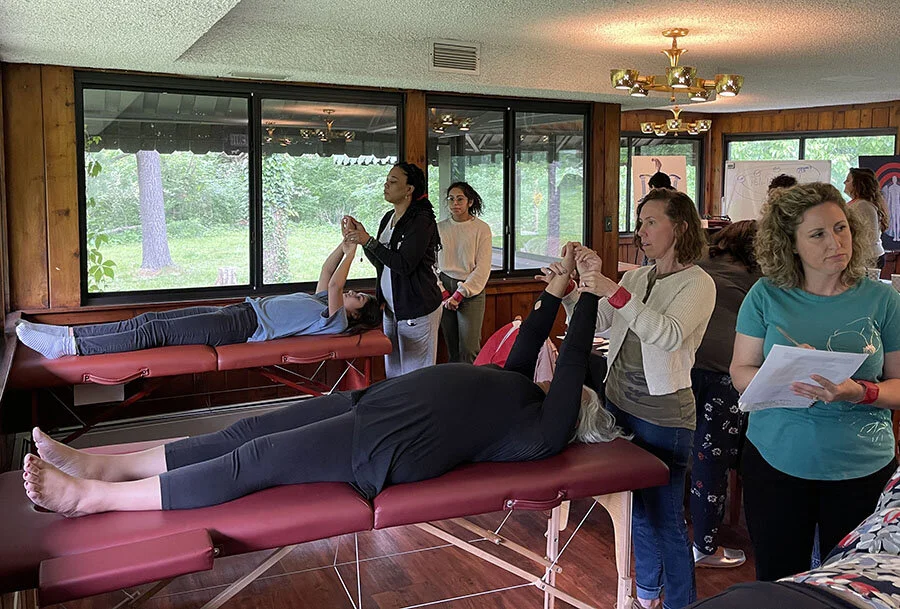 Program — The Vitalist’s Academy of Adjustment