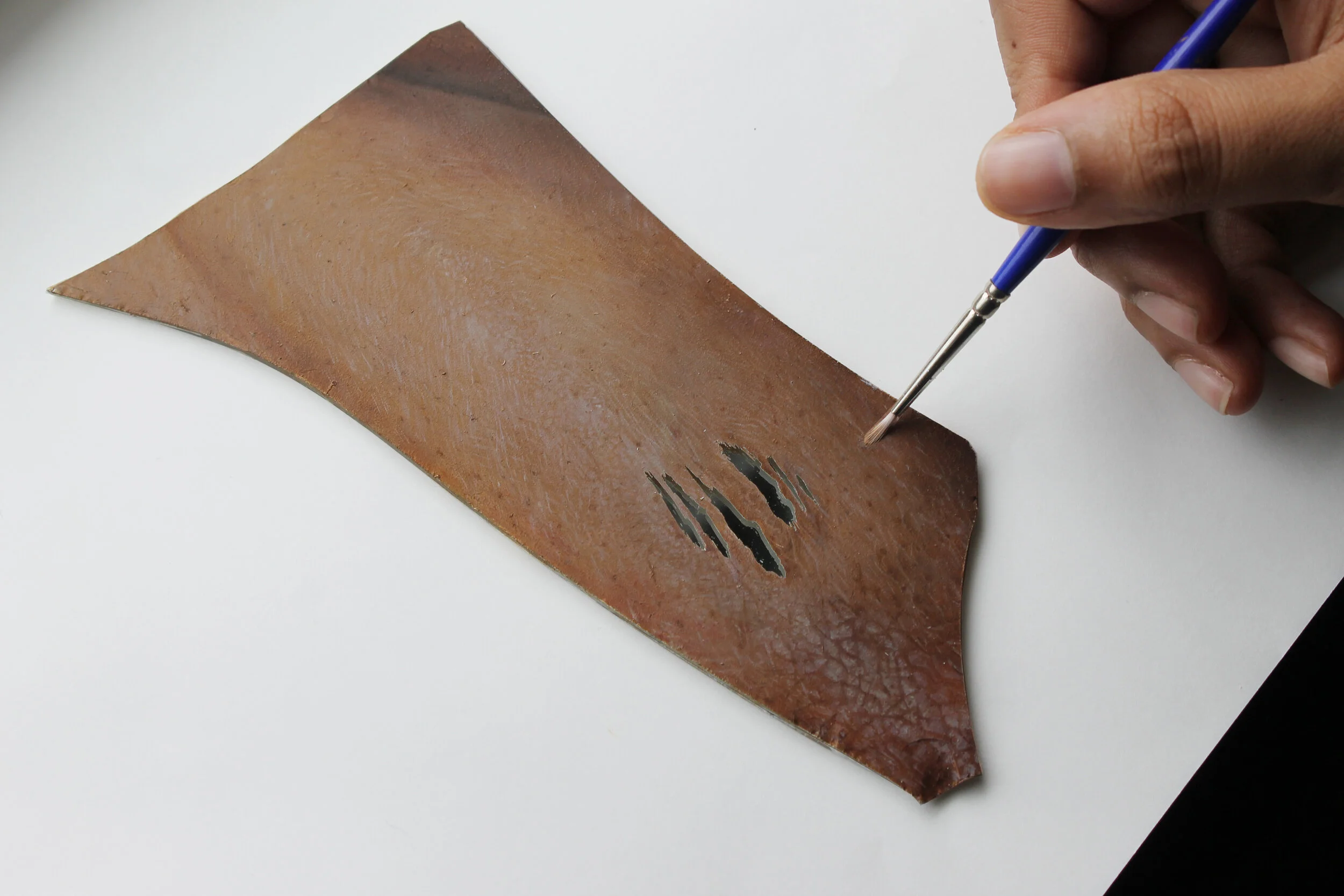 carysbrush.jpg